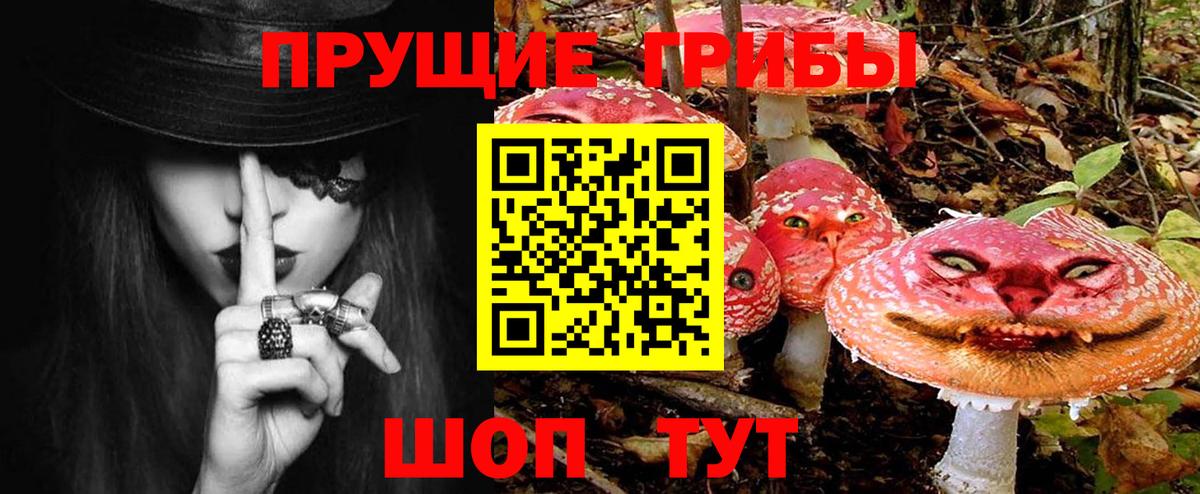 Шарыпово  Псилоцибиновые грибы Magic Shrooms  Вход с VPN 