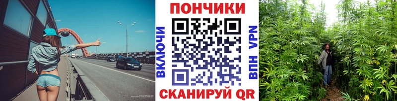 Каннабис Amnesia  Шарыпово 